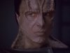 intothewind_722.jpg