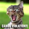 canon-violation_av.jpg