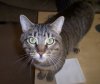 Toby resized.jpg