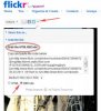 flickrlink.jpg