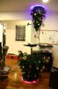 Portal 2 Christmas.jpg