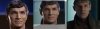 ComboSarek.jpg