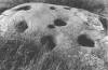 metates.png