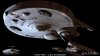 stargazer015.jpg