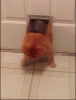 BK7Xb6D.gif