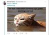 flood cat.jpg