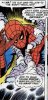 ASM79.jpg