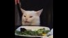 confused cat.jpg