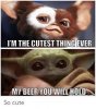 yoda.jpg