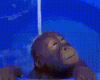 HAPPY BABY CHIMP.gif