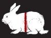 Split Hare 1a.jpg