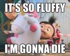 It's So Fluffy 1a.jpg