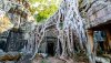 Ta-Prohm-temple.jpg