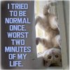 FB_IMG_1581971157416.jpg