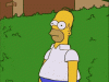 Homer Backs Into Bush 1a.gif
