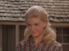 virginian_anderson.png