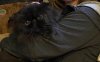 0AFFB585-F520-4BAB-A58F-52B51443F76B.jpeg