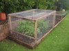 Chicken Wire Cage 1a.jpg