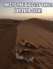 FB_IMG_1586509361392.jpg