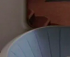Screen Shot 2020-04-12 at 1.23.39 AM.png