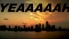 csimiami-yeaaaaah.png