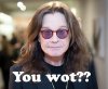 Ozzy 2a.jpg