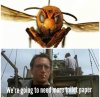 Murder Hornets 1a.jpg