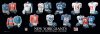 NY Giants FB 1b.jpg