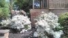 IMG_20200520_154242.jpg