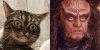 Gowron & Grumpy Cat 2.jpg