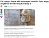 Keep Your Cat At Home 1a.jpg