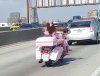 Pink Harley 1a.jpg