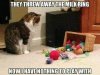 FB_IMG_1595737943393.jpg