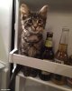 FB_IMG_1595737882707.jpg
