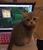 FB_IMG_1595737728040.jpg