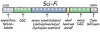 upload_2020-7-30_23-44-46.png
