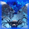 Metabelis-Crystal-2c.gif