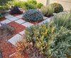 herbs_2020aug31.jpg