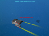 Aquashuttle_Overfly_watermark.png