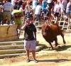 man on phone and bull.jpg