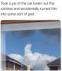 FB_IMG_1601952249212.jpg