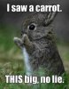 bunny-saw-big-carrot.jpg