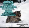 ichc-jingle-bells_zpsed97098b.jpg