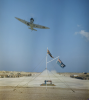 k_park_spitfire.png