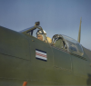 k_park_spitfire_02.png