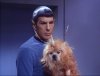 -Space-Dog-The-Enemy-Within-star-trek-the-original-series-6352214-694-530.jpg