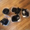 FB_IMG_1604753529917.jpg