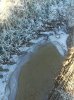 ice dragon.jpg