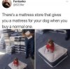 matress store.jpeg