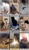 cat tarot.jpg
